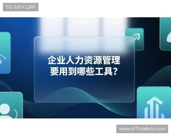 探讨开云体育备用网址的法律合规性，确保用户权益不受侵害
